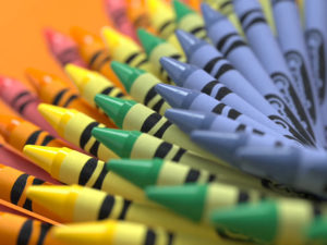Conseils pour faire de la photo macro 1