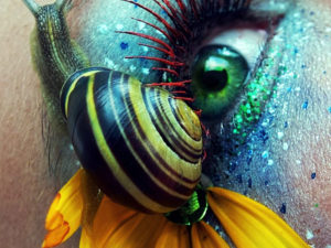 Conseils pour faire de la photo macro 6